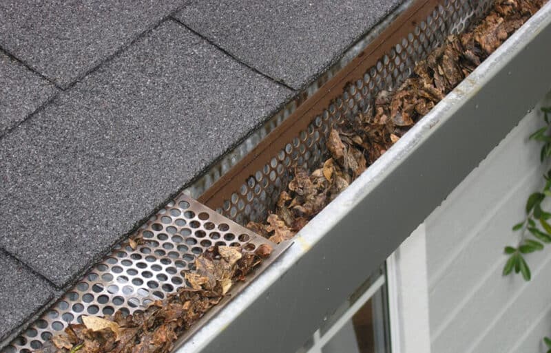 leaves clogging a gutter