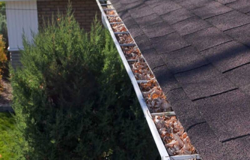 clogged gutters with leaves