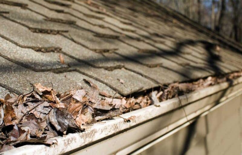 gutter clogged with leaves