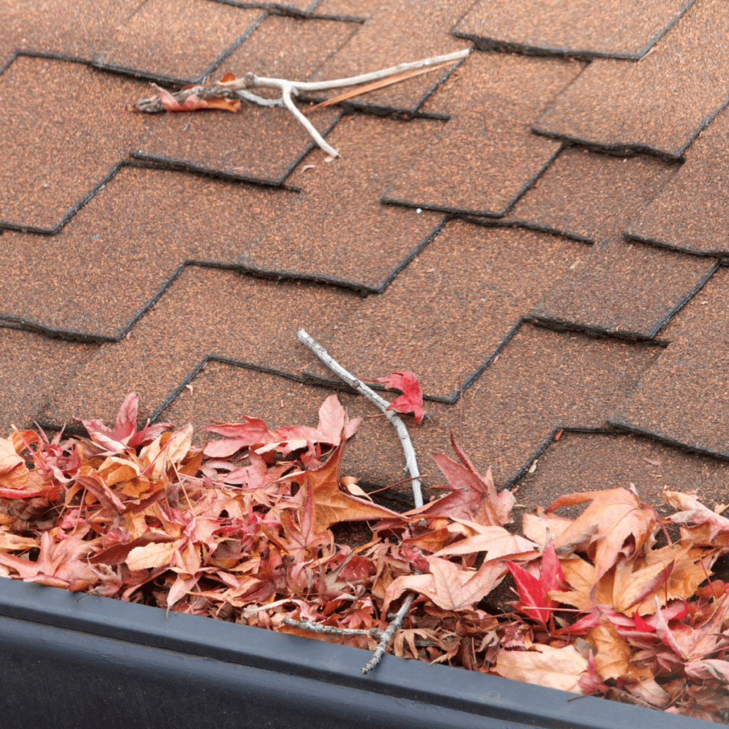 roof gutter cluttered with fallen leaves