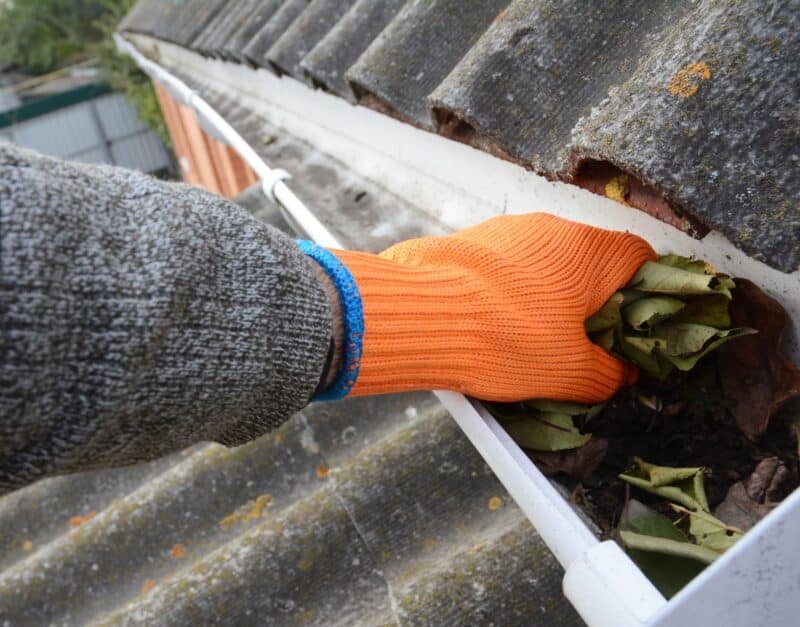 hand with orange glove on reaching into rain gutters to grab leaves to clean out the gutters